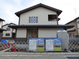 3号地