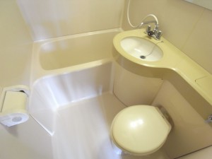 洗面周りに物が置けるタイプですよ