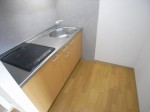 RIMG2305