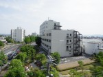 緑も見えます！