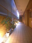 変換 ～ ローか